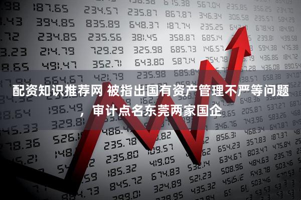 配资知识推荐网 被指出国有资产管理不严等问题，审计点名东莞两家国企